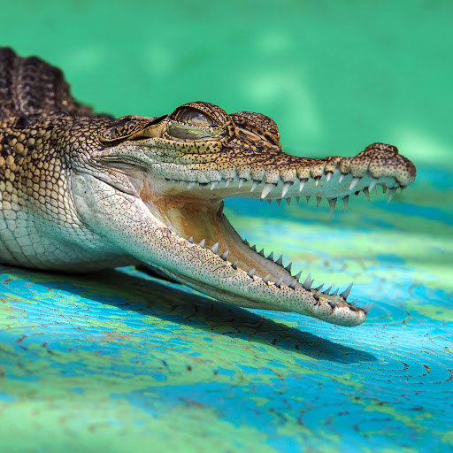 Hd-183112-ascw183112