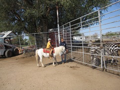 IMG_8730 IMG_8730