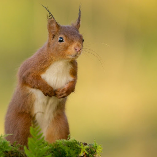 Hd-166164-ascw166164