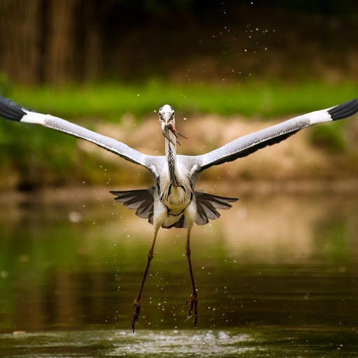 Hd-148130-ascw148130