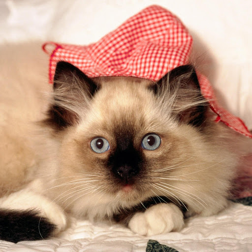 Hd-139721-ascw139721