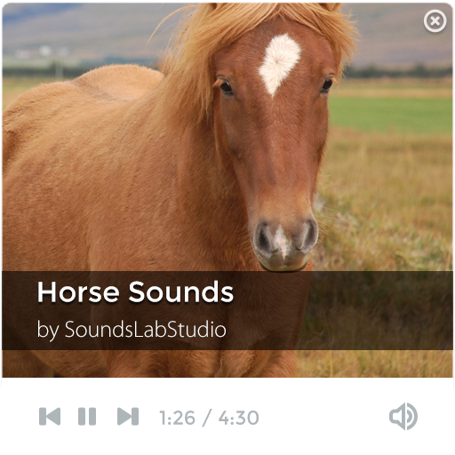 Horse Sounds