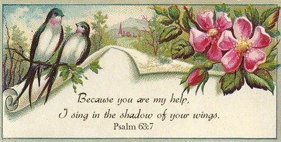 sing in the shadow of your wings