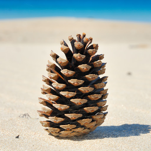 Hd-153235-ascw153235