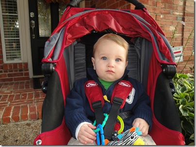 1.  All bundled up in the stroller!