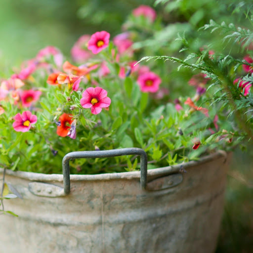 Hd-156735-ascw156735