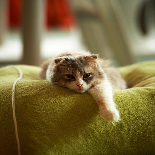 Hd-162404-ascw162404