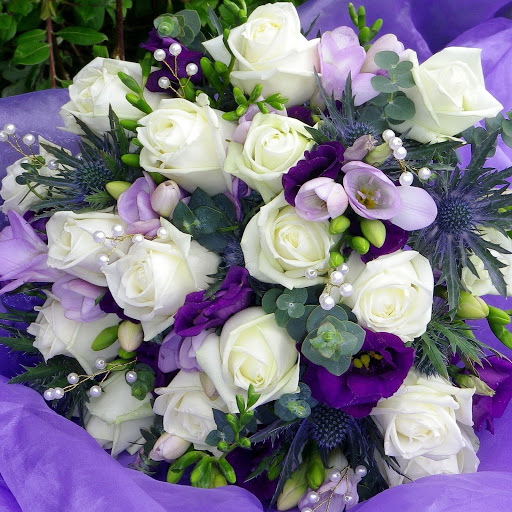 Hd-141782-ascw141782