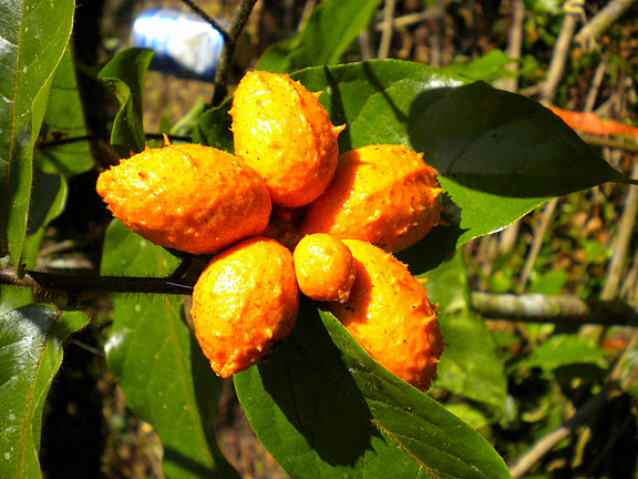 [image%255B84%255D.png]