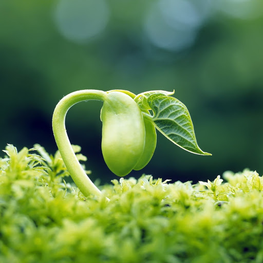 Hd-179895-ascw179895