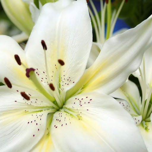 Hd-147066-ascw147066