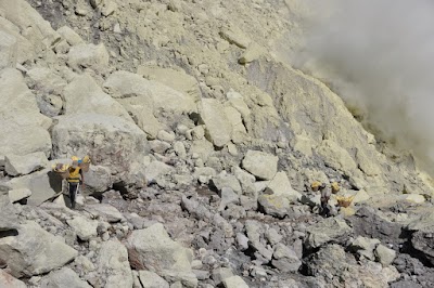 DSC_0949.JPG