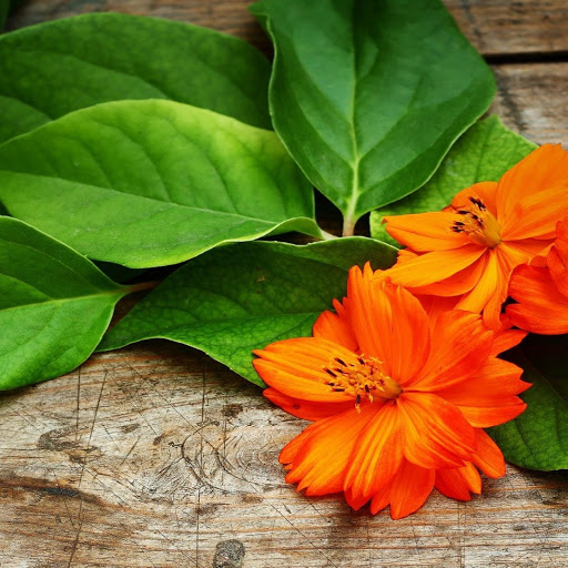 Hd-149423-ascw149423