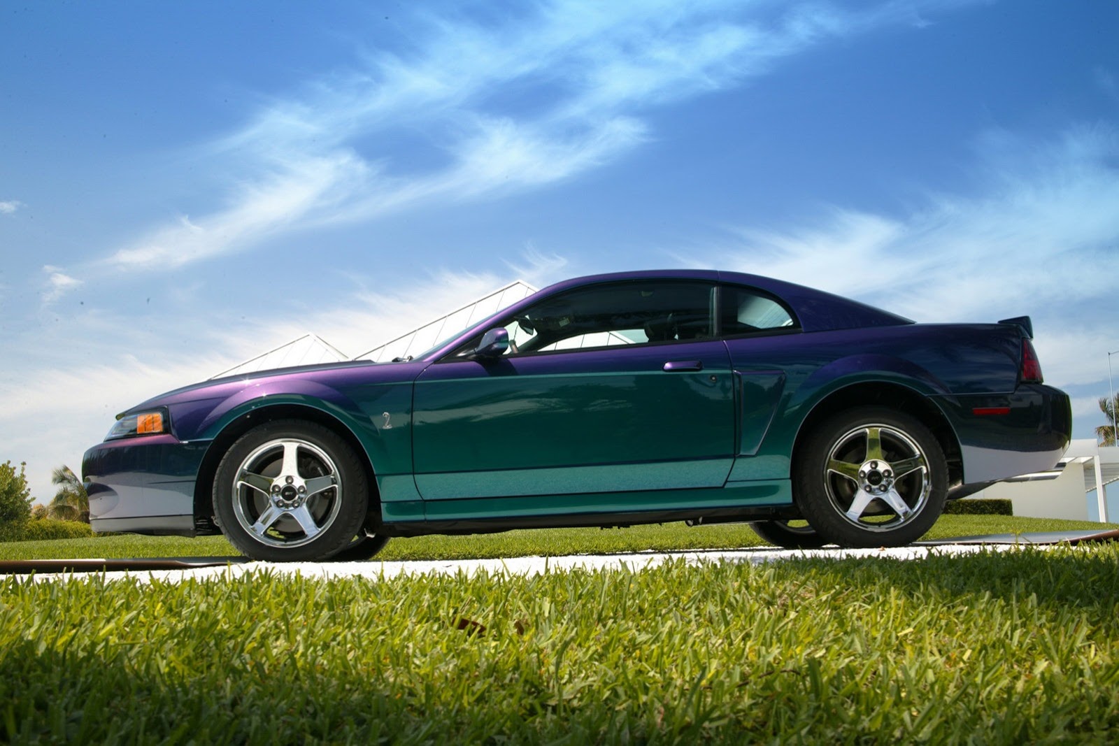 [Ford-Mustang-colors-7%255B6%255D.jpg]