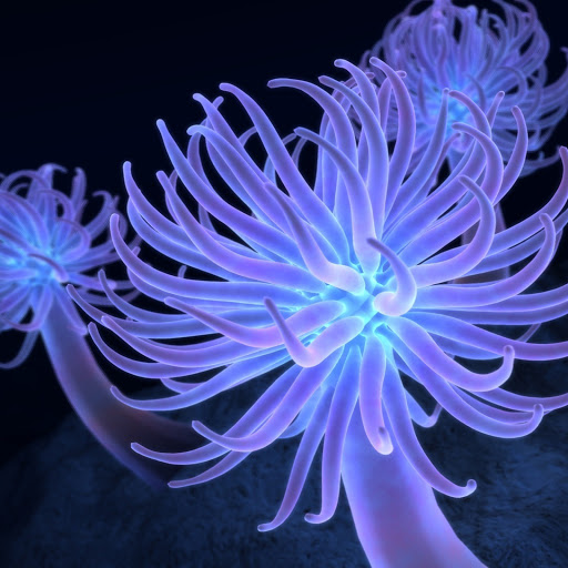 Hd-139134-ascw139134