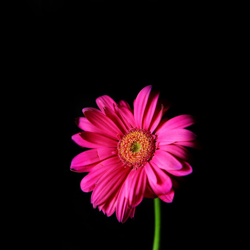 Hd-139586-ascw139586