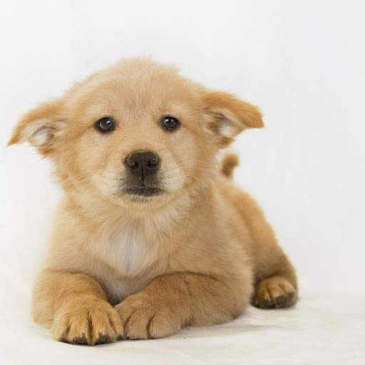 Hd-175914-ascw175914