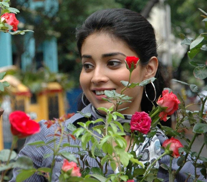 [shriya%2520with%2520rose%255B3%255D.jpg]