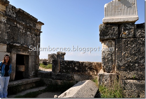 DSC_2308_Fotor DSC_2308_Fotor