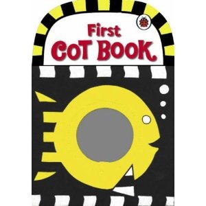 [41qhN0JW17L._SL500_AA300_%255B4%255D.jpg]