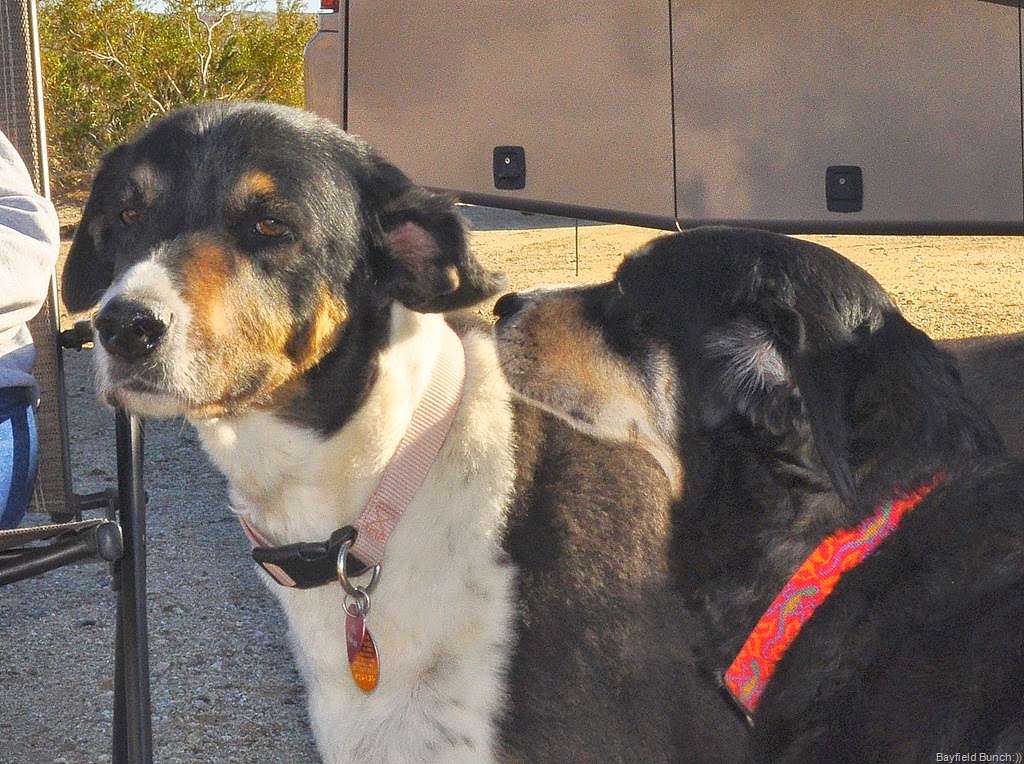 [DSC_0004%255B6%255D.jpg]