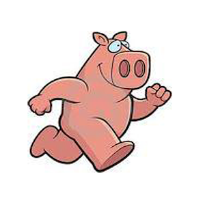 Hog Wild Run 4