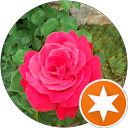 Image Google de Christine Merlin