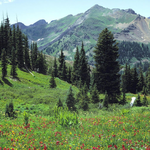 Hd-156572-ascw156572