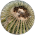 Veronica Gabarra Veronica Gabarra