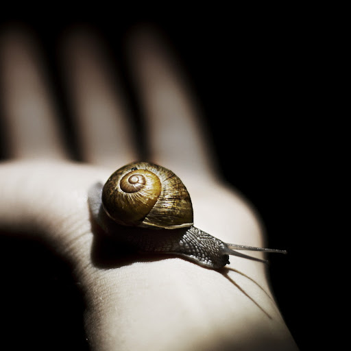 Hd-159455-ascw159455