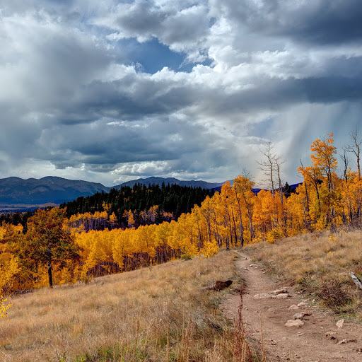 Hd-131365-ascw131365