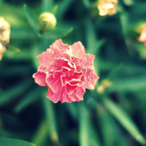 Hd-177232-ascw177232