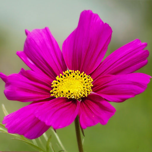 Hd-164484-ascw164484