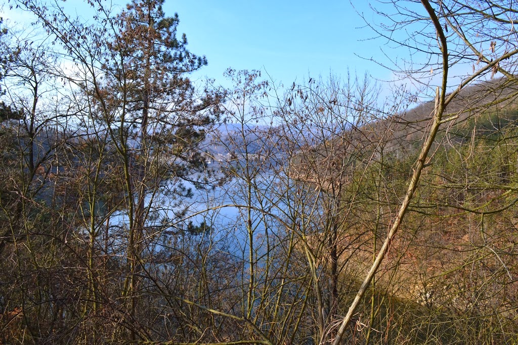 [DSC_2926%255B3%255D.jpg]
