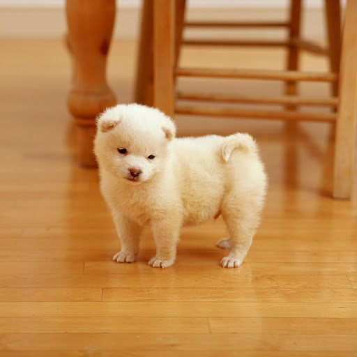 Hd-167235-ascw167235