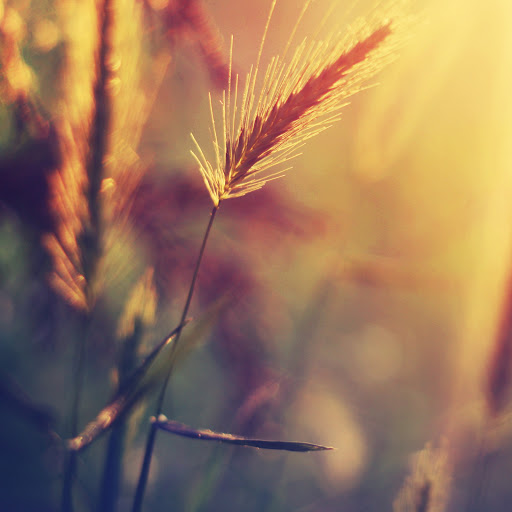 Hd-167630-ascw167630