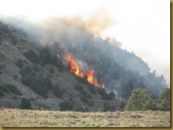 2012-06-08 Fire 001 2012-06-08 Fire 001