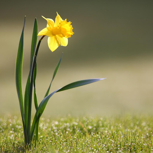 Hd-177153-ascw177153