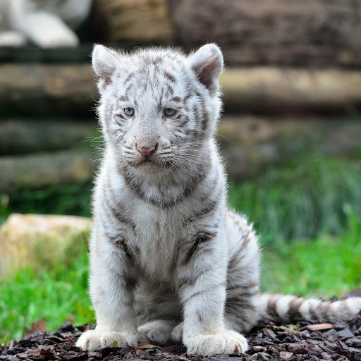 Hd-176270-ascw176270