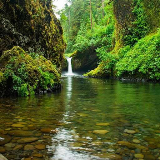 Hd-150422-ascw150422