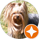 Image Google de Nath SCH