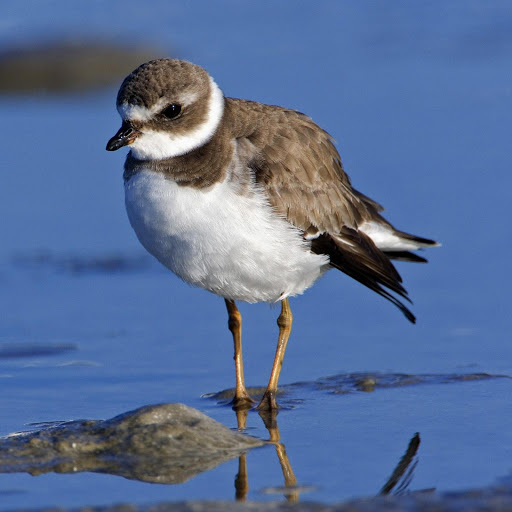 Hd-181325-ascw181325