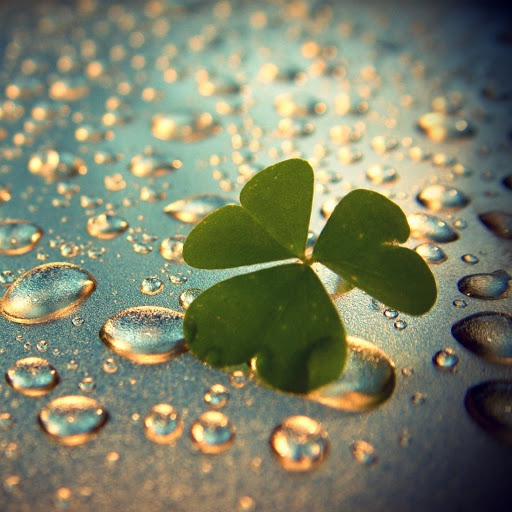 Hd-171516-ascw171516