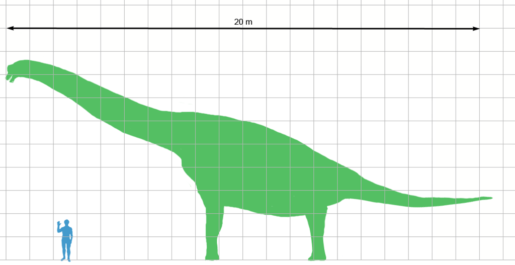 [Brachiosaurus_scale%255B3%255D.png]