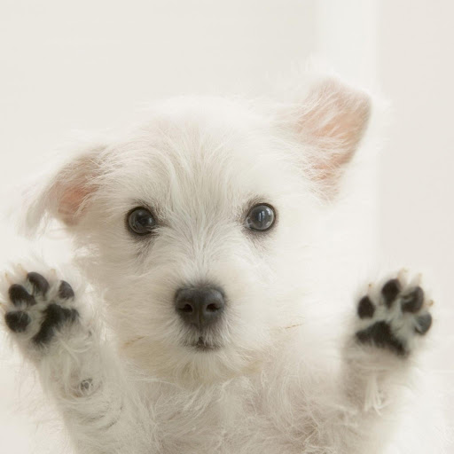 Hd-173759-ascw173759