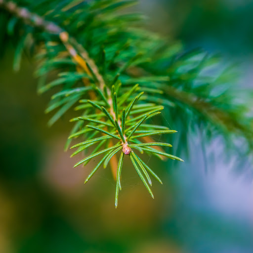 Hd-131426-ascw131426