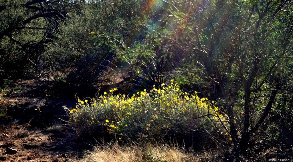 [DSC_0036%255B3%255D.jpg]