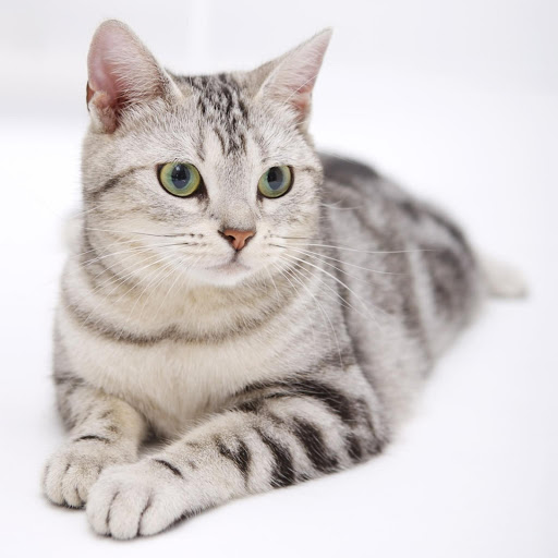 Hd-178488-ascw178488