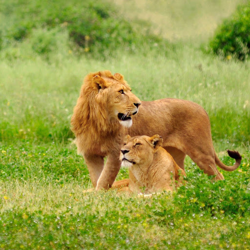 Hd-155956-ascw155956