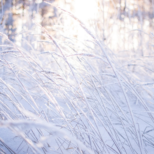 Hd-171739-ascw171739